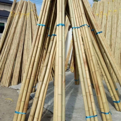Groothandel Natuur Raw Tonkin Yellow Bamboe Pole riet materiaal voor decoratieve en planten groeien ondersteuning