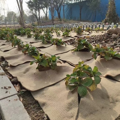 Natuurlijke jute-plantmat milieuvriendelijk beschermmiddel voor potplanten, tuinversiering, kiemen van zaden