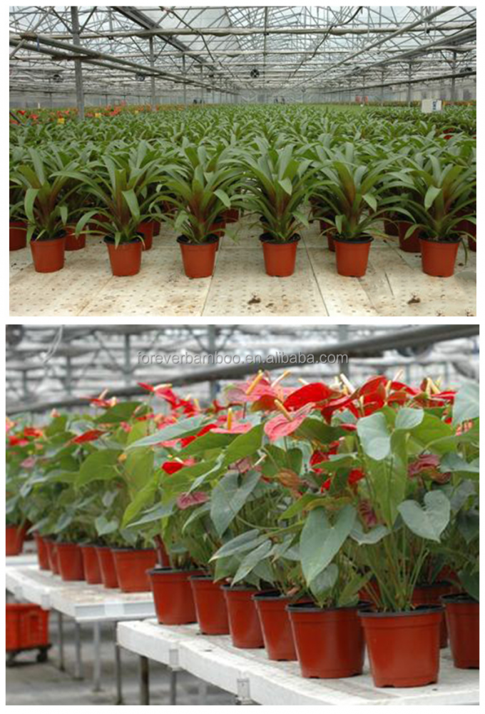 Duurzame plastic pot, lichtgewicht en veelzijdig plantencontainer 1